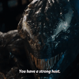 v1 335
