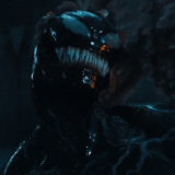 v1 339