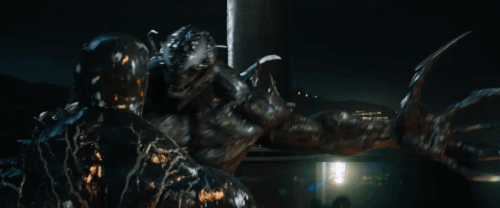 v1 338.gif