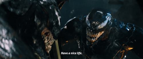 v1 356.gif