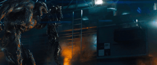 v1 343.gif