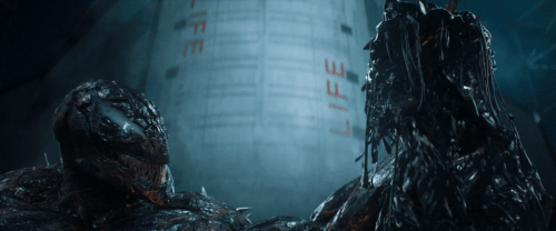 v1 342.gif