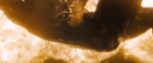 v1 359.gif
