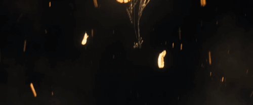 v1 362.gif