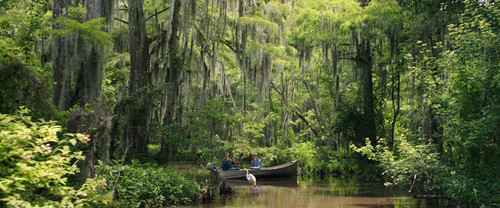 Where.the.Crawdads.Sing.2022.1080p.BluRay.x265.10bit.DTS WiKi.mkv 20240618 152751.054.jpg