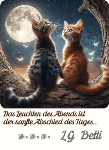 nacht.gif