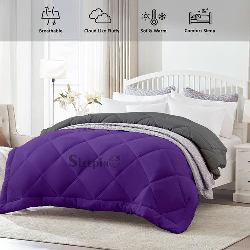 Drak Purple (3).jpg