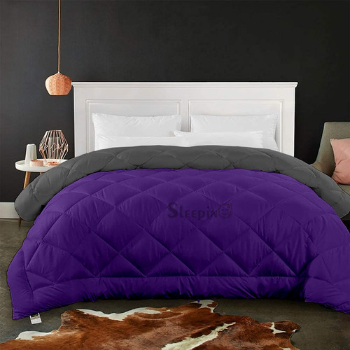 Drak Purple (10).jpg