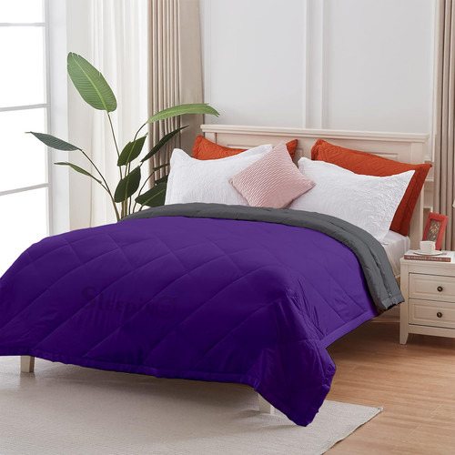 Drak Purple (12).jpg