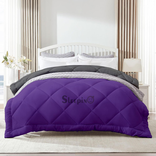 Drak Purple (1).jpg