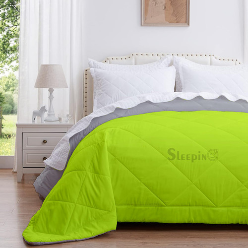 Silver parrot green (4).jpg
