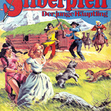 Silberpfeil 425