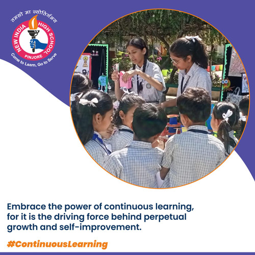 NISSS Pinjore Top School in Pinjore.jpg