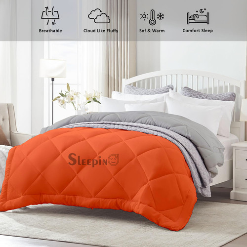 Silver Orange (3).jpg