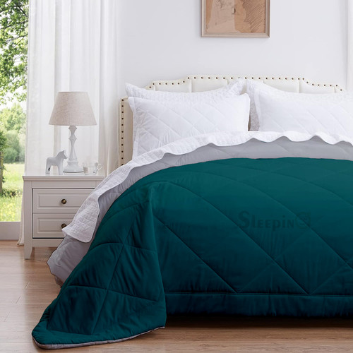 Silver Teal (4).jpg