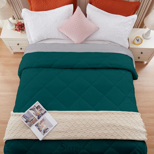 Silver Teal (14).jpg