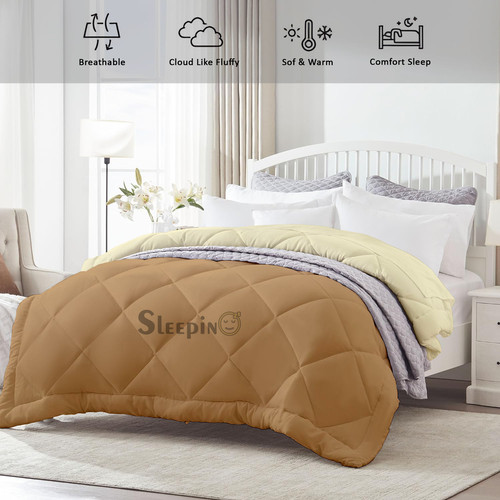 Beige Ivory (3).jpg