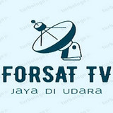 FORSAT TV2.jpg