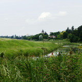 Le Canal d'Orléans 27