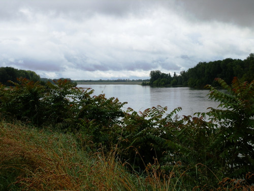 Le Canal d'Orléans 38.jpg