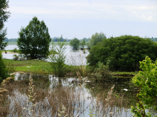Le Canal d'Orléans 9.jpg