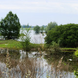 Le Canal d'Orléans 9