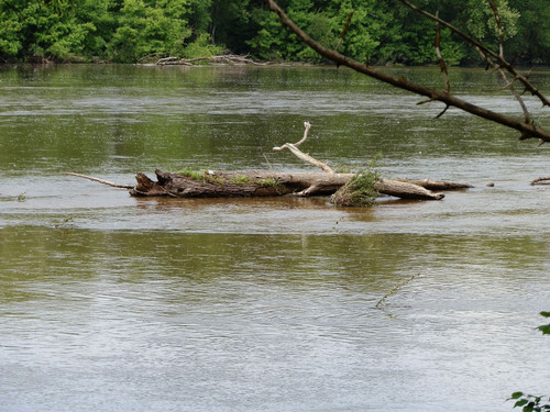 Le Canal d'Orléans 12.jpg