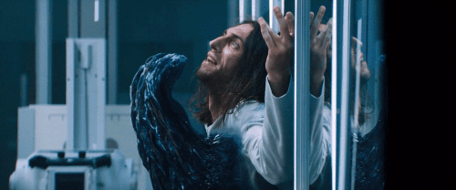 v1 048.gif