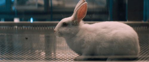 v1 027.gif