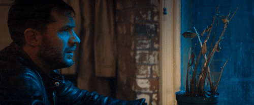 v1 041.gif