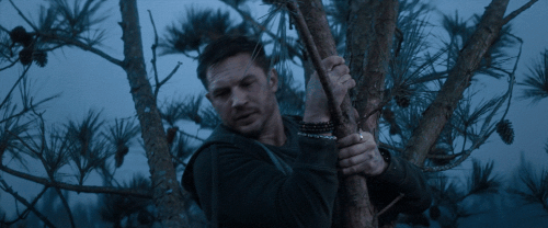 v1 075.gif