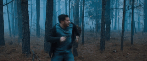 v1 073.gif