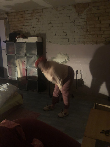 IMG 5619.jpg