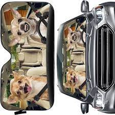 images 2024 06 16T115053.787.jpg