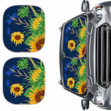 images 2024 06 16T120151.086