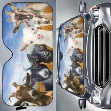 images 2024 06 16T120235.489.jpg