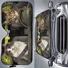 images 2024 06 16T120552.219.jpg