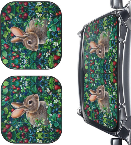 63696387e4afc26901661703 delerain 2 piece car windshield sun.jpg