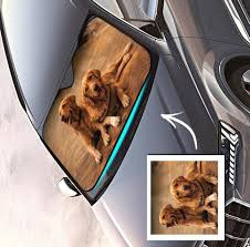 images 2024 06 16T113739.140.jpg