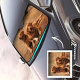 images 2024 06 16T113739.140