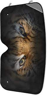 images 2024 06 16T113818.179.jpg