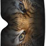 images 2024 06 16T113818.179