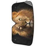 images 2024 06 16T113803.748