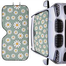 images 2024 06 16T115014.228.jpg