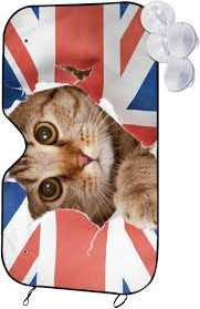 images 2024 06 16T113904.666.jpg