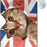 images 2024 06 16T113904.666