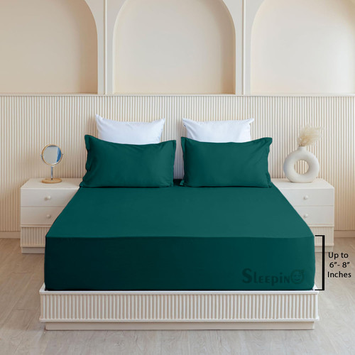 Teal (1).jpg