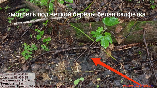 IMG 20240612 235734.jpg