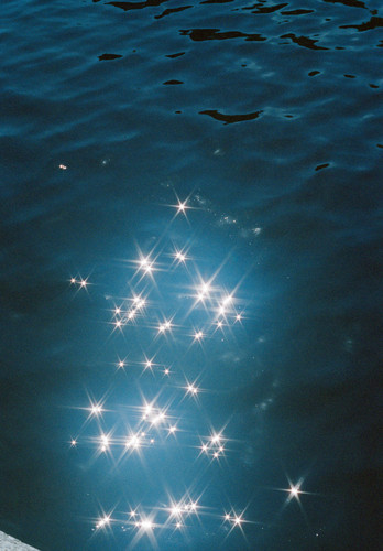 Solenne Spitalier Wide Open 2 800x1150.jpg