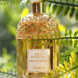 Guerlain Aqua Allegoria Orange Soleia British Beauty Blogger (1)